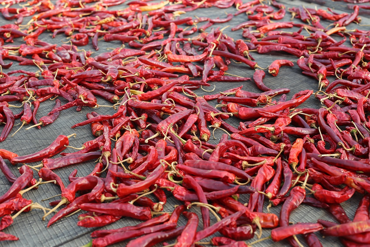 spice, pepper, dried red pepper-3476998.jpg